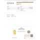 GIA for 10.41 ct Untreated