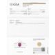 GIA certified of Pink sapphire ring 