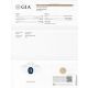 gia report 4.64 ct