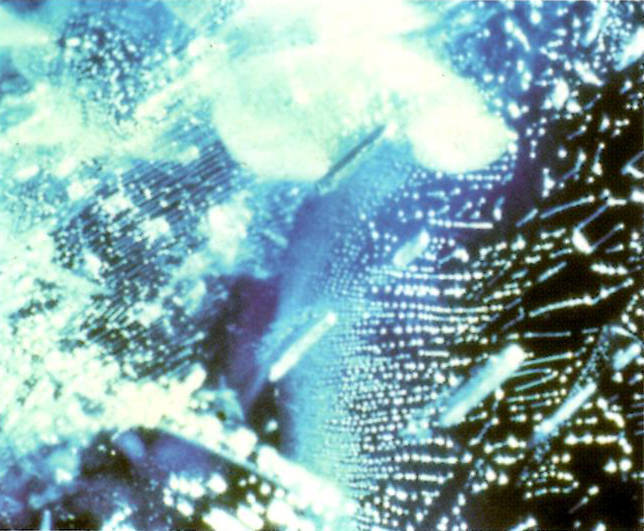 negative crystals in fingerprint pattern